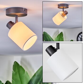 Fallhagen Plafoniera, Faretto da soffitto Nero, 1-Luce