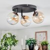 Chehalis Plafoniera, Lampada a sfera Ambrato, Chiaro, 3-Luci
