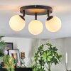 Chehalis Plafoniera, Lampada a sfera Bianco, 3-Luci