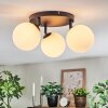 Chehalis Plafoniera, Lampada a sfera Bianco, 3-Luci