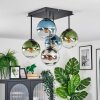 Gastor Plafoniera, Lampada a sfera 37 cm Blu, Cromo, Verde, Chiaro, Grigio fumo, 5-Luci