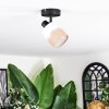 Fallhagen Plafoniera, Faretto da soffitto Nero, 1-Luce