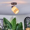Fallhagen Plafoniera, Faretto da soffitto Nero, 1-Luce