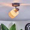 Fallhagen Plafoniera, Faretto da soffitto Nero, 1-Luce