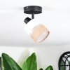 Fallhagen Plafoniera, Faretto da soffitto Nero, 1-Luce