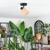 Lindberg Plafoniera, Faretto da soffitto Nero, 1-Luce