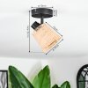 Lindberg Plafoniera, Faretto da soffitto Nero, 1-Luce