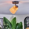 Lindberg Plafoniera, Faretto da soffitto Nero, 1-Luce