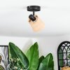 Lindberg Plafoniera, Faretto da soffitto Nero, 1-Luce
