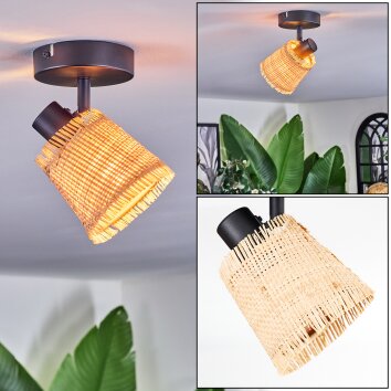 Lindberg Plafoniera, Faretto da soffitto Nero, 1-Luce