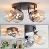 Chehalis Plafoniera, Lampada a sfera Ambrato, Chiaro, Grigio fumo, 4-Luci Chehalis Plafoniera, Lampada a sfera Ambrato, Chiaro, Grigio fumo, 4-Luci