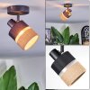 Fallhagen Plafoniera, Faretto da soffitto Nero, 1-Luce