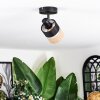 Fallhagen Plafoniera, Faretto da soffitto Nero, 1-Luce
