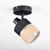 Fallhagen Plafoniera, Faretto da soffitto Nero, 1-Luce
