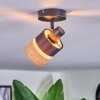 Fallhagen Plafoniera, Faretto da soffitto Nero, 1-Luce