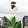 Fallhagen Plafoniera, Faretto da soffitto Nero, 1-Luce