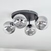 Chehalis Plafoniera, Lampada a sfera Chiaro, Grigio fumo, 4-Luci