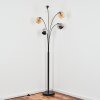 Koyoto Lampada a sfera, Lampada da terra Ambrato, Cromo, Chiaro, Grigio fumo, 5-Luci