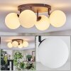 Chehalis Plafoniera, Lampada a sfera Bianco, 4-Luci