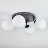 Chehalis Plafoniera, Lampada a sfera Bianco, 4-Luci