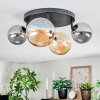 Chehalis Plafoniera, Lampada a sfera Ambrato, Grigio fumo, 4-Luci