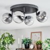 Chehalis Plafoniera, Lampada a sfera Chiaro, Grigio fumo, 4-Luci
