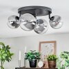 Chehalis Plafoniera, Lampada a sfera Chiaro, Grigio fumo, 4-Luci