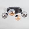 Chehalis Plafoniera, Lampada a sfera Ambrato, Grigio fumo, 4-Luci