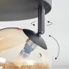 Chehalis Plafoniera, Lampada a sfera Ambrato, 4-Luci