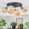 Chehalis Plafoniera, Lampada a sfera Ambrato, 4-Luci