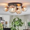 Chehalis Plafoniera, Lampada a sfera Ambrato, Chiaro, 4-Luci
