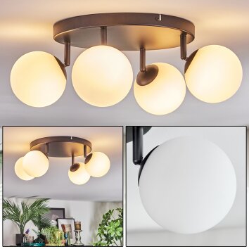 Chehalis Plafoniera, Lampada a sfera Bianco, 4-Luci