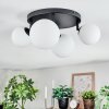 Chehalis Plafoniera, Lampada a sfera Bianco, 4-Luci