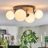 Chehalis Plafoniera, Lampada a sfera Bianco, 4-Luci