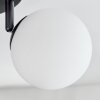 Chehalis Plafoniera, Lampada a sfera Bianco, 4-Luci