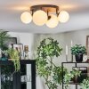 Chehalis Plafoniera, Lampada a sfera Bianco, 4-Luci