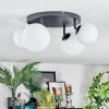 Chehalis Plafoniera, Lampada a sfera Bianco, 4-Luci