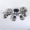 Ripoll Plafoniera, Lampada a sfera Chiaro, Grigio fumo, 6-Luci