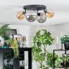 Chehalis Plafoniera, Lampada a sfera Ambrato, Grigio fumo, 4-Luci