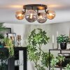 Chehalis Plafoniera, Lampada a sfera Ambrato, Grigio fumo, 4-Luci