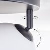 Gastor Plafoniera, Lampada a sfera Bianco, 3-Luci