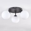 Gastor Plafoniera, Lampada a sfera Bianco, 3-Luci
