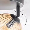 Koyoto Plafoniera, Lampada a sfera Ambrato, Chiaro, Grigio fumo, 3-Luci