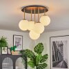 Gastor Plafoniera, Lampada a sfera Ottone, Nero, 5-Luci
