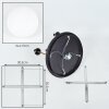Gastor Plafoniera, Lampada a sfera Ottone, Nero, 5-Luci