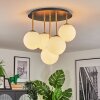 Gastor Plafoniera, Lampada a sfera Ottone, Nero, 5-Luci