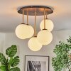 Gastor Plafoniera, Lampada a sfera Ottone, Nero, 5-Luci