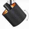 Alsen Plafoniera, Faretto da soffitto Nero, 2-Luci
