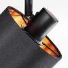 Alsen Plafoniera, Faretto da soffitto Nero, 2-Luci