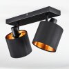 Alsen Plafoniera, Faretto da soffitto Nero, 2-Luci